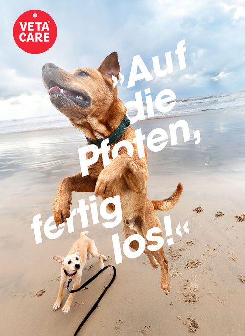 VETACARE - Tierärztliches Kompetenzzentrum für Kleintiere - unsere Vision